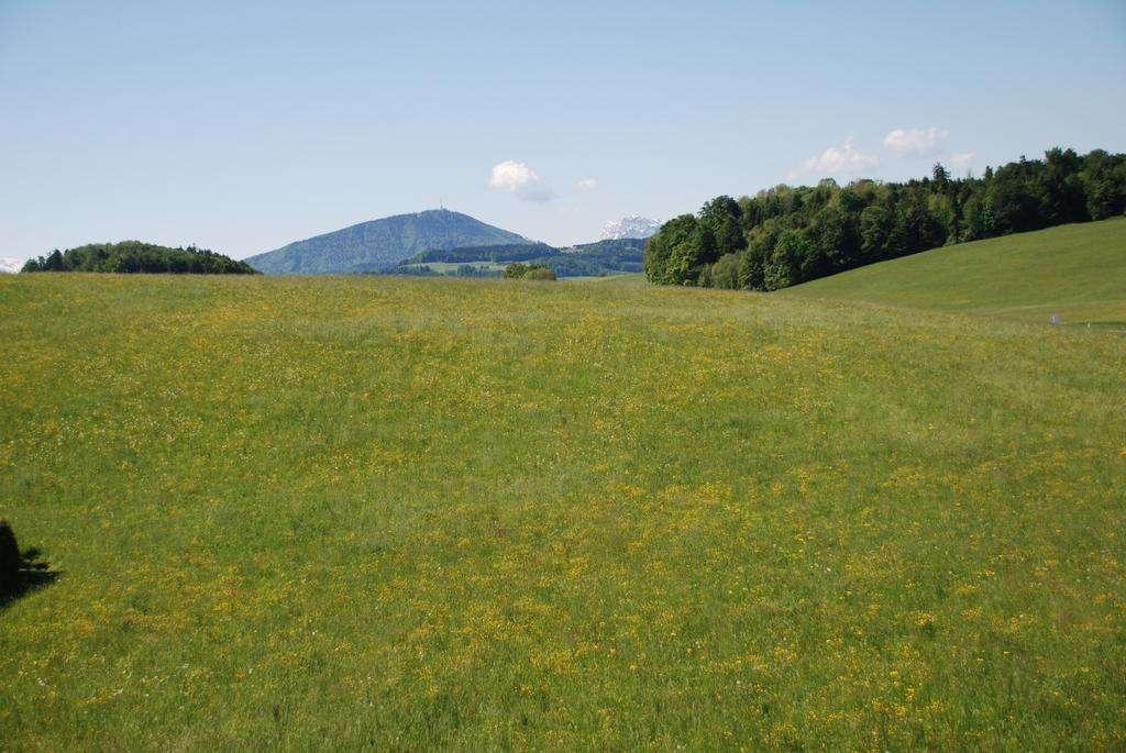 Landhaus Brieger Henndorf am Wallersee Exterior foto